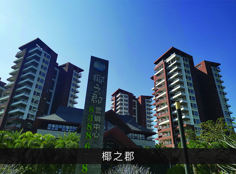 椰之郡_尊龙凯时-业绩案例