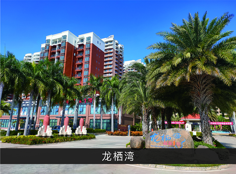 龙栖湾_尊龙凯时-业绩案例