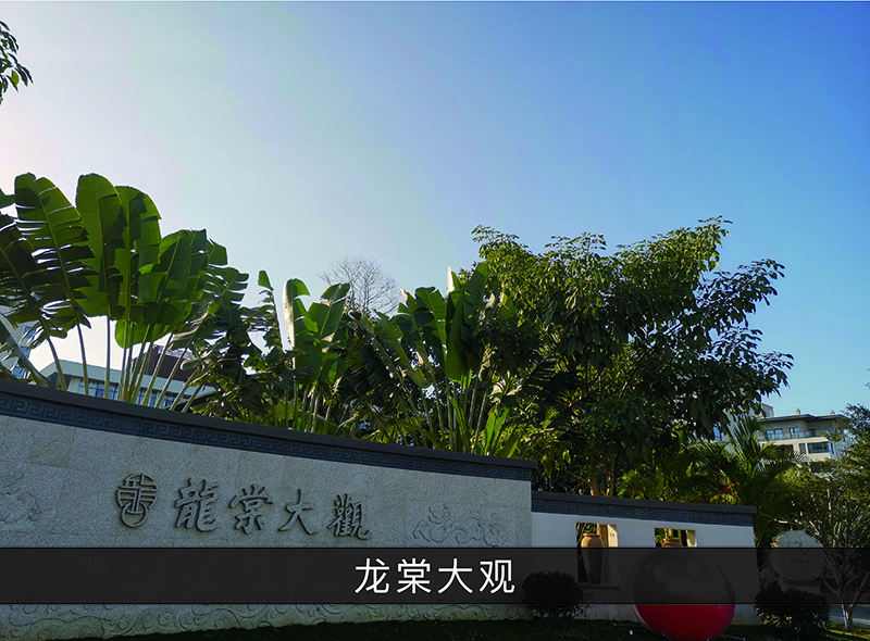 龙棠大观_尊龙凯时-业绩案例
