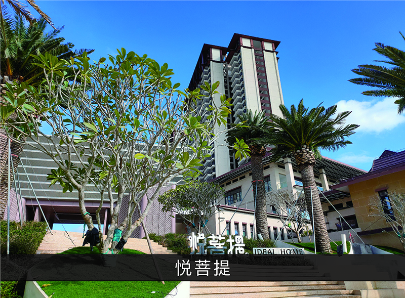 悦菩提_尊龙凯时-业绩案例