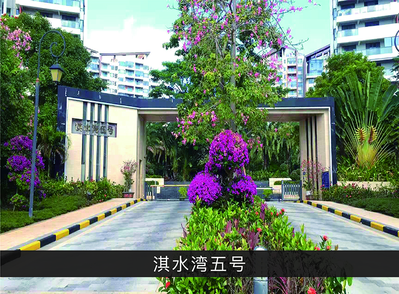 淇水湾五号_尊龙凯时-业绩案例