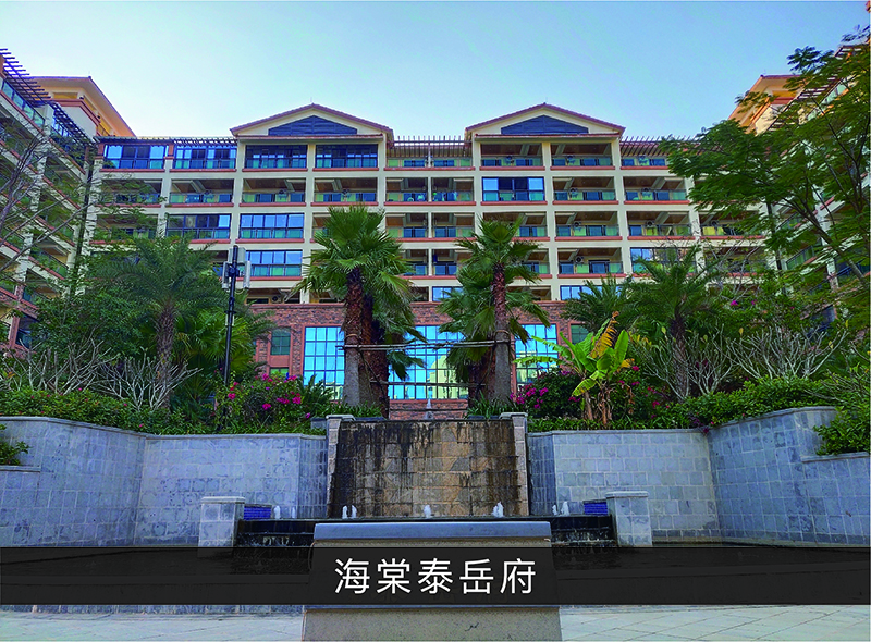 海棠泰岳符_尊龙凯时-业绩案例