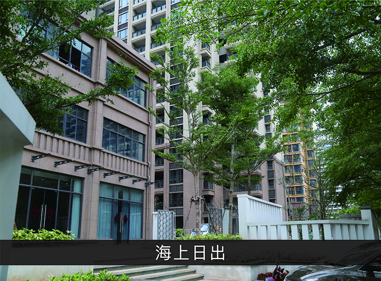 海上日出_尊龙凯时-业绩案例