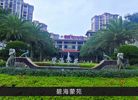尊龙凯时-业绩案例
