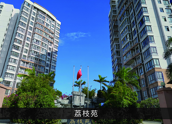 尊龙凯时-业绩案例