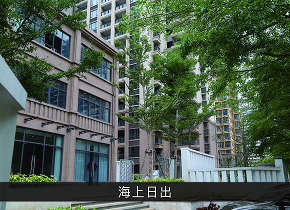 尊龙凯时-业绩案例